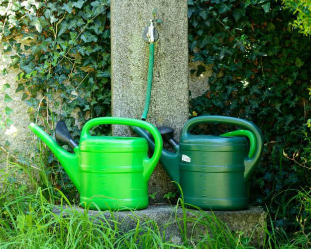 Zwei grüne Kunststoff-Gießkannen stehen nebeneinander unter einem Wasserhahn mit angeschlossenem Gartenschlauch. Im Hintergrund wächst dichter Efeu an einer Mauer, während Gräser und weitere Pflanzen die kleine Wasserstelle umgeben.