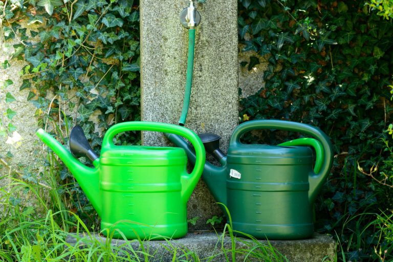 Zwei grüne Kunststoff-Gießkannen stehen nebeneinander unter einem Wasserhahn mit angeschlossenem Gartenschlauch. Im Hintergrund wächst dichter Efeu an einer Mauer, während Gräser und weitere Pflanzen die kleine Wasserstelle umgeben.