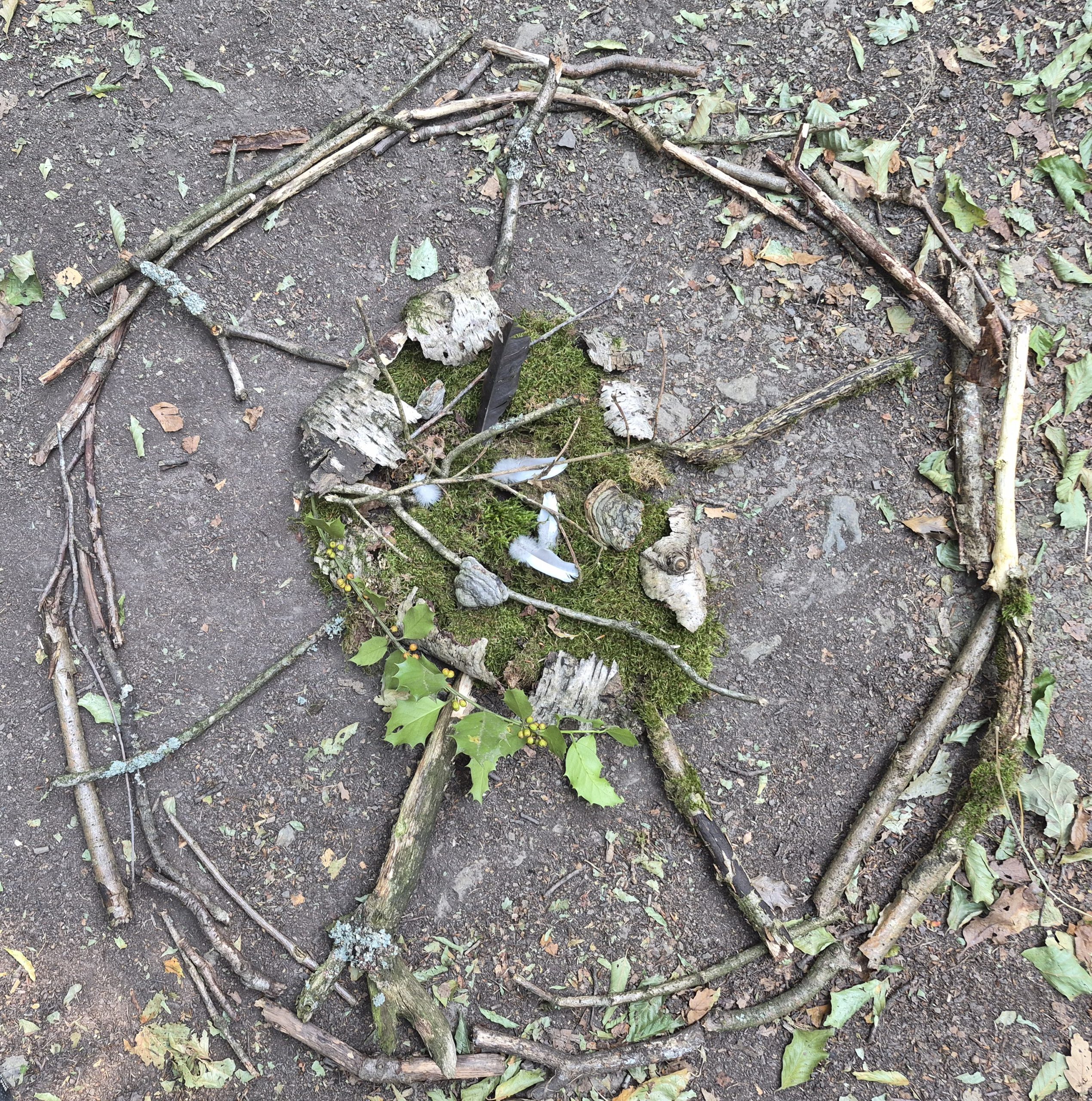 Ein Mandala aus Dingen, die auf dem Waldboden lagen.