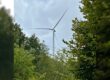 Ein großes Windrad ragt hinter dichtem grünen Baumbestand in einen bewölkten Himmel.