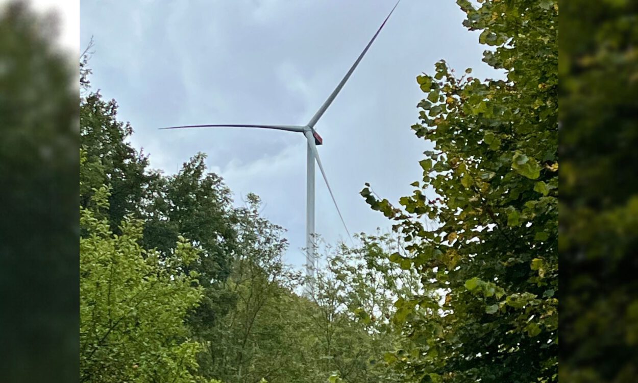 Ein großes Windrad ragt hinter dichtem grünen Baumbestand in einen bewölkten Himmel.
