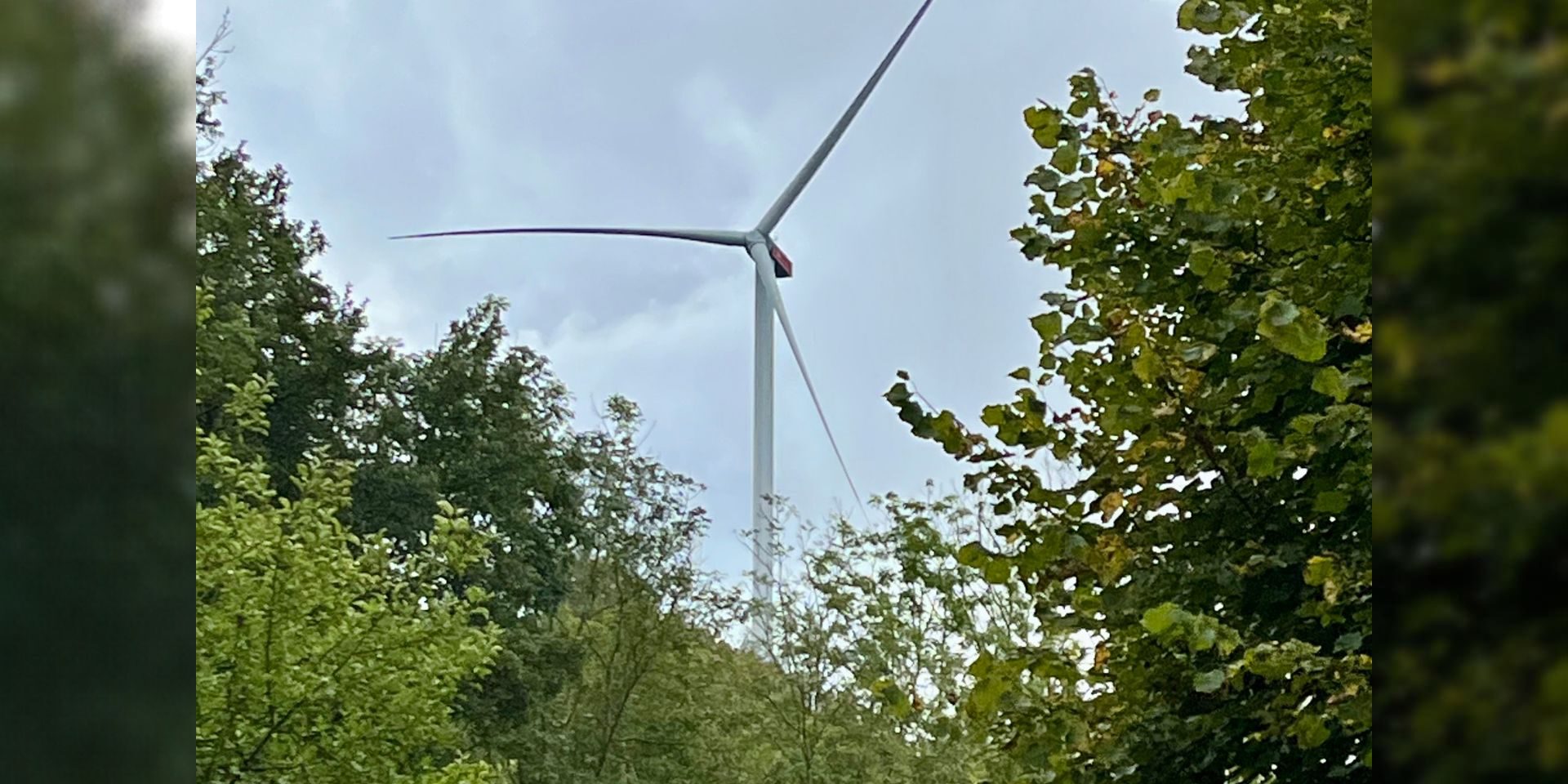 Ein großes Windrad ragt hinter dichtem grünen Baumbestand in einen bewölkten Himmel.