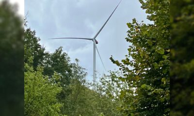 Ein großes Windrad ragt hinter dichtem grünen Baumbestand in einen bewölkten Himmel.