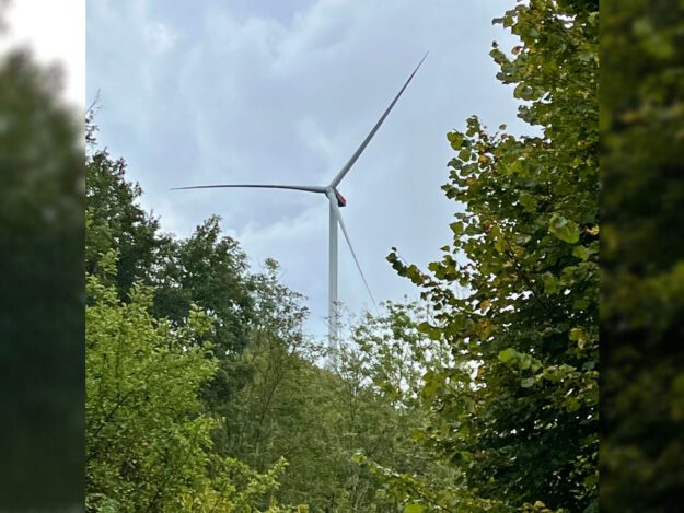 Ein großes Windrad ragt hinter dichtem grünen Baumbestand in einen bewölkten Himmel.