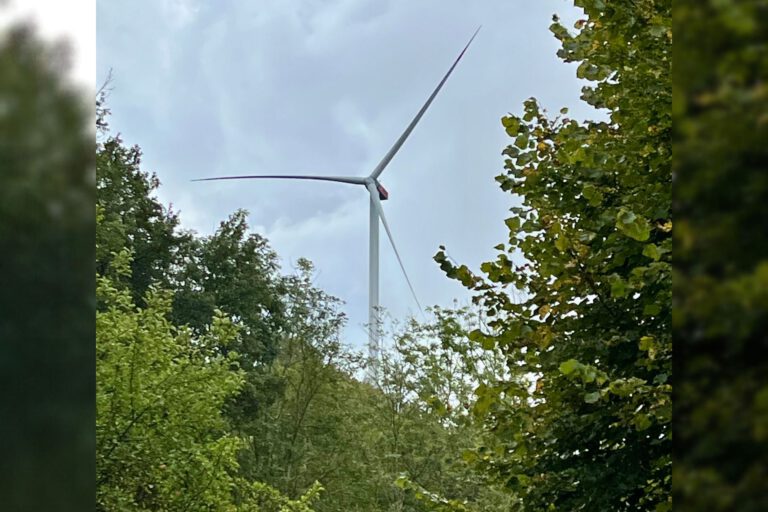 Foto: Carmen Ahlers Ein großes Windrad ragt hinter dichtem grünen Baumbestand in einen bewölkten Himmel.