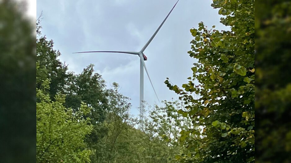 Ein großes Windrad ragt hinter dichtem grünen Baumbestand in einen bewölkten Himmel.