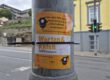 Ampelquiz