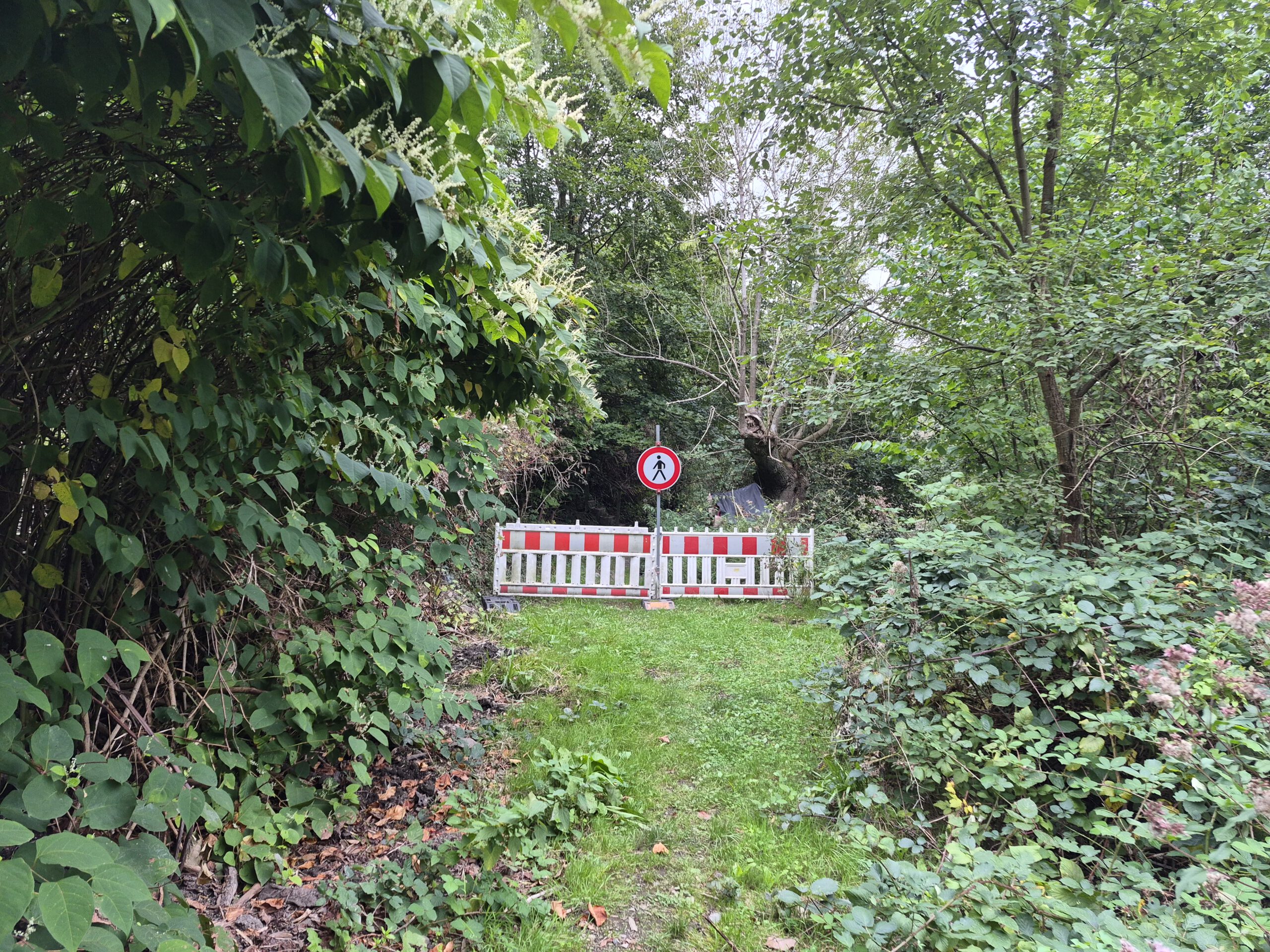 Weg Wiesenstraße