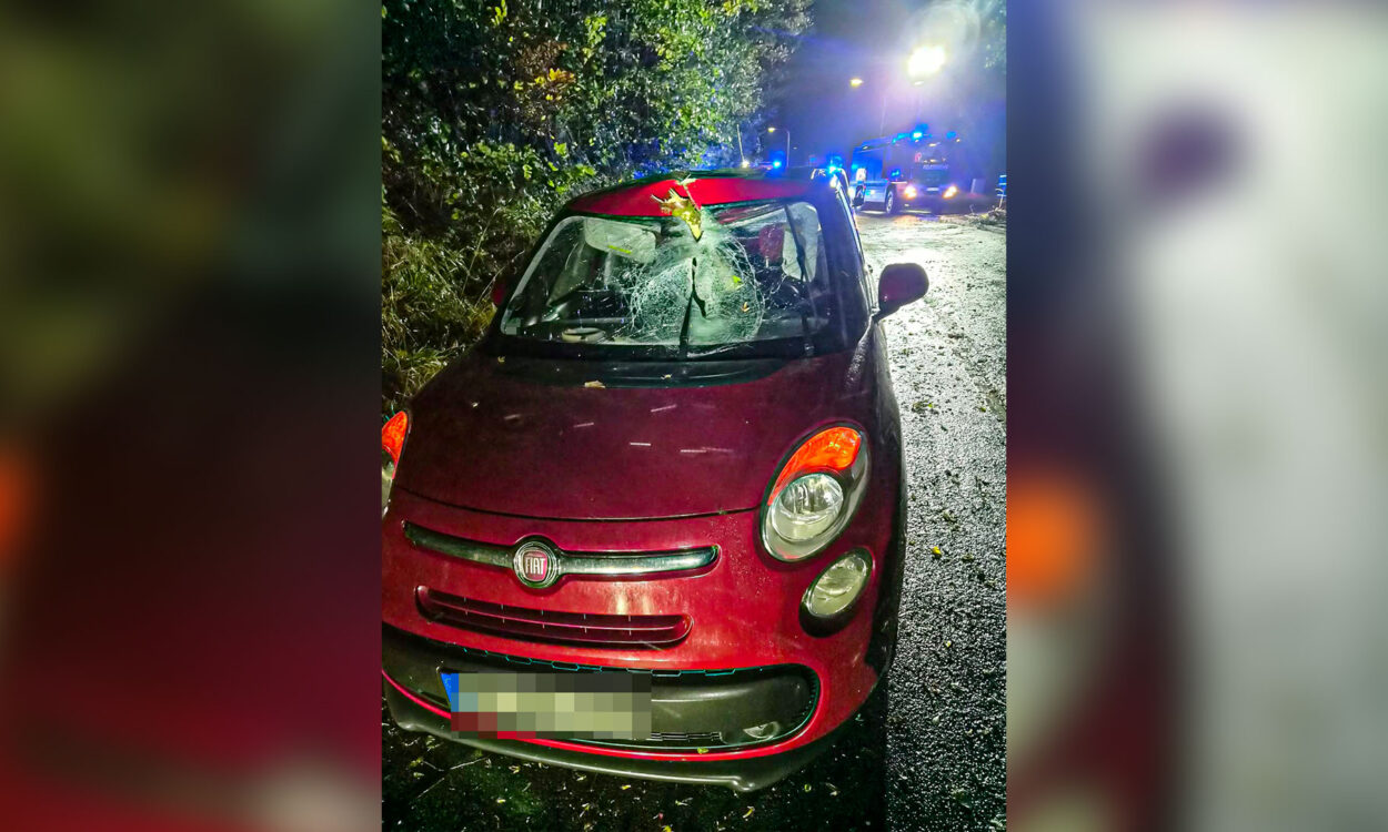 Sturmtief "Luise": Glück im Unglück hatte eine 18-jährige Fahranfängerin in der Nacht auf Samstag auf dem Asbecker Weg in Iserlohn. Während der Fahrt durchschlug ein Ast, der sturmbedingt, von einem Baum stürzte, die Windschutzscheibe ihres Fiat und blieb im Armaturenbrett auf der Fahrerseite stecken. Der Rettungsdienst untersuchte die junge Iserlohnerin, die bei dem Unfall aber unverletzt blieb.