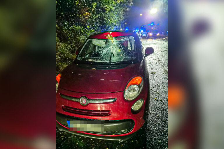 Sturmtief "Luise": Glück im Unglück hatte eine 18-jährige Fahranfängerin in der Nacht auf Samstag auf dem Asbecker Weg in Iserlohn. Während der Fahrt durchschlug ein Ast, der sturmbedingt, von einem Baum stürzte, die Windschutzscheibe ihres Fiat und blieb im Armaturenbrett auf der Fahrerseite stecken. Der Rettungsdienst untersuchte die junge Iserlohnerin, die bei dem Unfall aber unverletzt blieb.