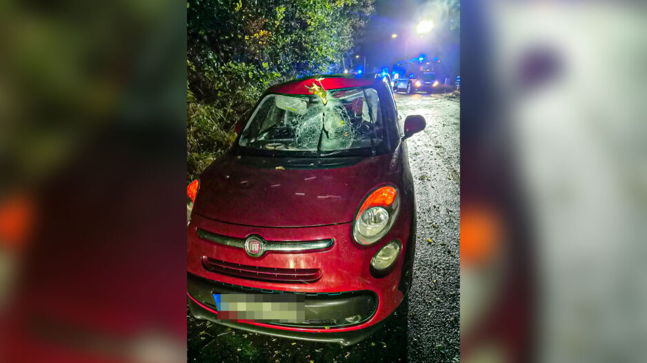 Sturmtief "Luise": Glück im Unglück hatte eine 18-jährige Fahranfängerin in der Nacht auf Samstag auf dem Asbecker Weg in Iserlohn. Während der Fahrt durchschlug ein Ast, der sturmbedingt, von einem Baum stürzte, die Windschutzscheibe ihres Fiat und blieb im Armaturenbrett auf der Fahrerseite stecken. Der Rettungsdienst untersuchte die junge Iserlohnerin, die bei dem Unfall aber unverletzt blieb.