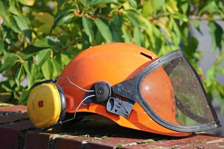 Symbolbild: Manfred Richter/Pixabay Ein orangefarbener Schutzhelm mit gelbem Gehörschutz und heruntergeklapptem schwarzem Gesichtsschutz aus Metallgitter liegt auf einer Backsteinmauer. Im Hintergrund sind grüne Blätter zu sehen.